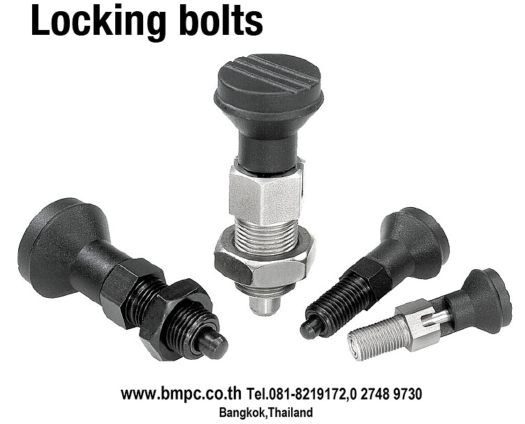 Locking bolt, Index plunger, Plunger with pin, สลักล๊อกตำแหน่ง, Plug indexing, Disc spring